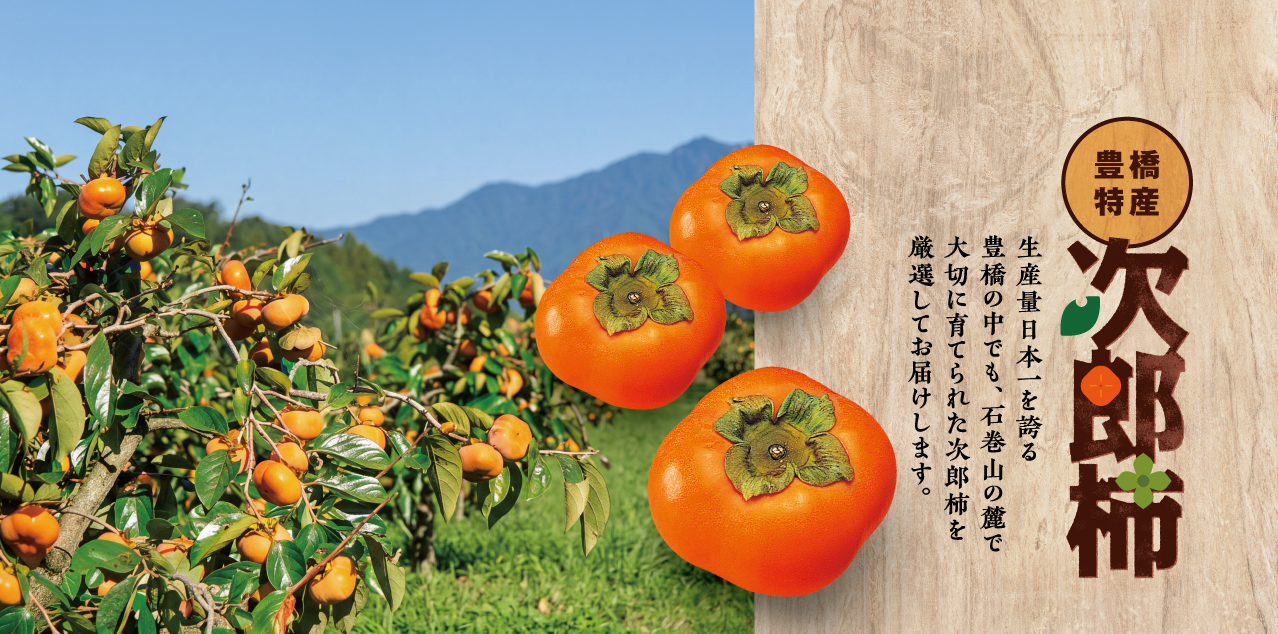 四季を贈るヤマサのギフト