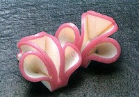 ［用途］皿盛、鉢盛、折詰